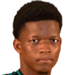 player-image