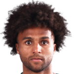 player-image