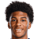 player-image