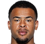 player-image