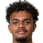player-image
