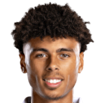 player-image