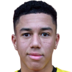 player-image