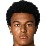 player-image