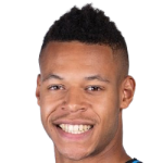 player-image