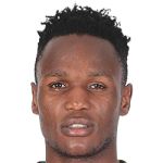 player-image