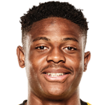 player-image