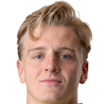 P. Mattsson