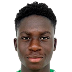 player-image
