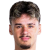 K. Alajbegovic