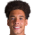 A. Witsel