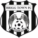 team-logo