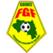 Guinea U17 crest