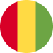 Guinea U17 crest