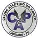 CA Porto crest
