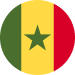 Senegal U20 badge