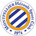 Montpellier B crest
