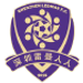 Shenzhen Ledman crest