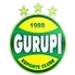 Gurupi crest