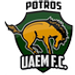 U.A. Estado de Mexico crest