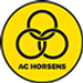 AC Horsens U17 crest