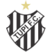 Tupi crest