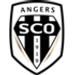 Angers U19 crest