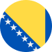 Bosnia and Herzegovina badge