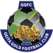 Geita Gold FC crest
