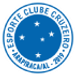 Cruzeiro Arapiraca U20 crest