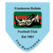 Cranborne Bullets FC crest