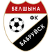 Belshina Bobruisk crest