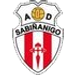 Sabinanigo crest