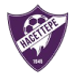 Hacettepe 1945 Sports Club crest