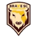 Brave SC crest