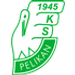 Pelikan Lowicz crest