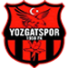 Yozgatspor 1959 crest