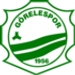 Gorelespor crest