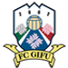 FC Gifu crest