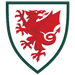 Wales U17 crest
