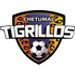 Tigrillos de Chetumal crest