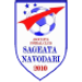 AFC Sageata Navodari crest