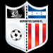 Deportivo Savio crest