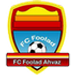 Foolad Novin badge