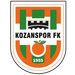 Kozan Spor FK crest