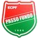 Passo Fundo crest