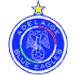 Adelaide Blue Eagles crest