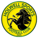 Holwell Sports crest