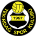 Tekirdagspor crest