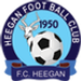 Heegan FC crest
